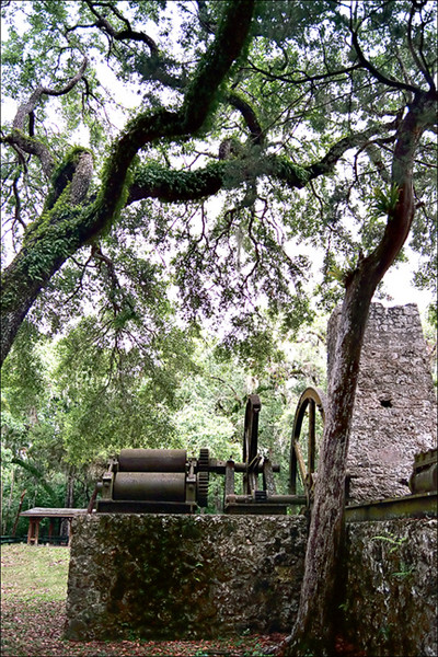 Sugarmill Ruins