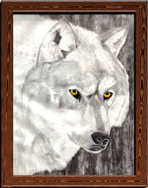 It's the Eyes
