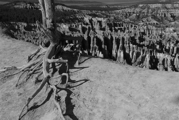 Bryce canyon-Utah