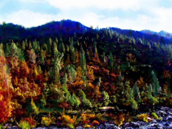El Portal, Along the Merced River Edge, California