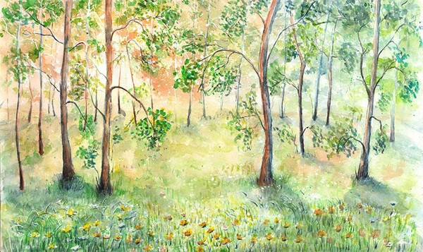 bright morning