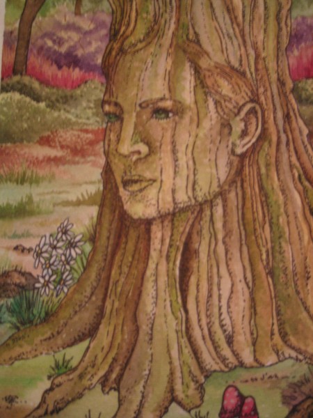 The Watcher