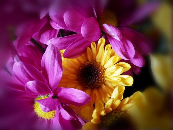 In These Days Of Brightness