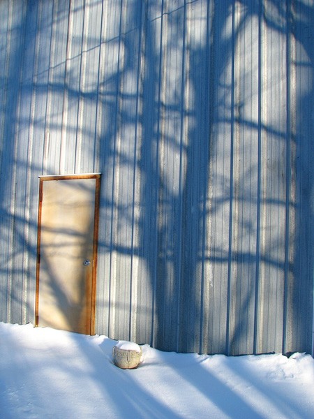 Galvanized forest