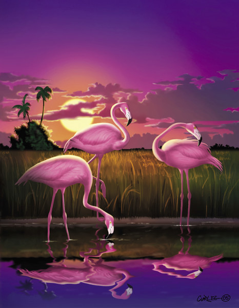 Flamingoes Digital Painting