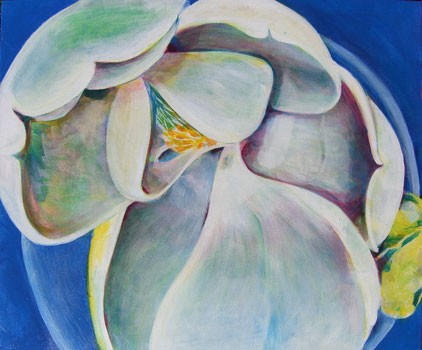 magnolia1