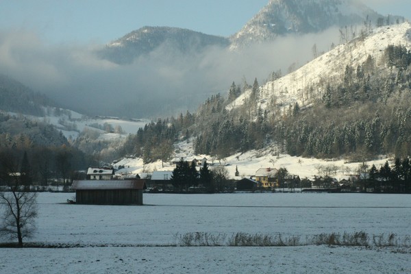 Winter Scene II