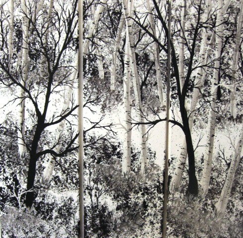 Path Through The Birch Trees