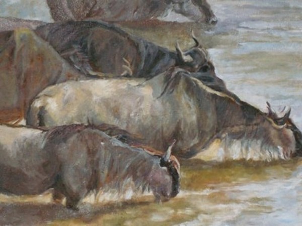 Wildebeasts