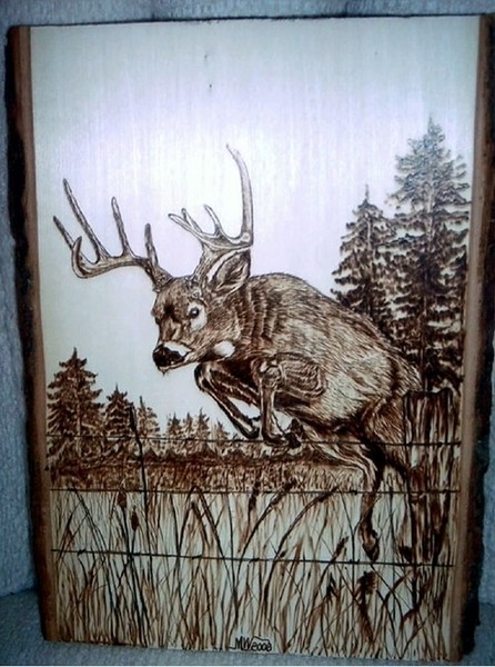 Buck on the Run