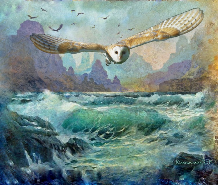 An Old Smoke Owl Crossing The Canal * 2019 Kiddolucaslee