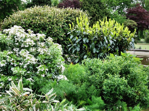 garden for the blind