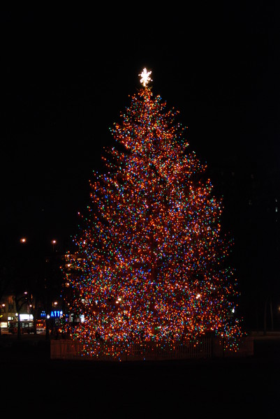 Christmas 2006