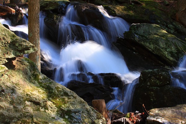 Spring Water Fall