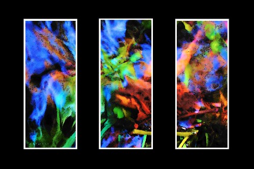Underwater Abstract Triptic