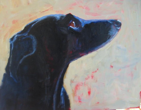 Dog Portrait 4