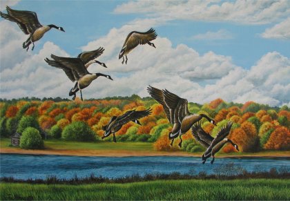 Canada Goose Skies