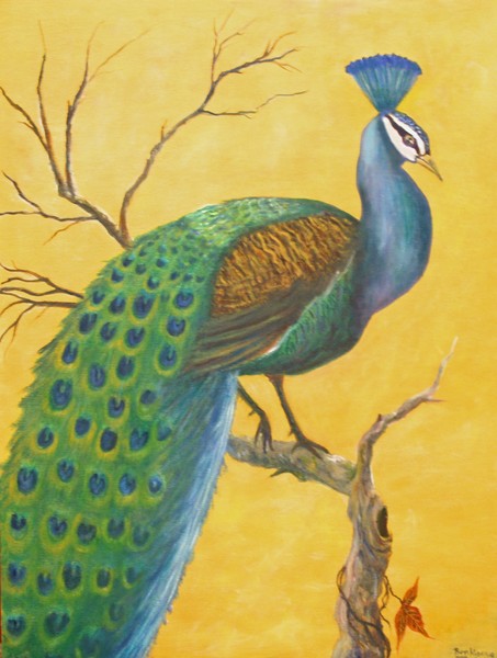 Proud as a Peacock