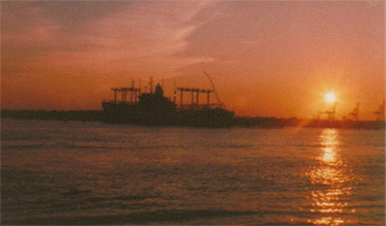 Virgina Beach Sunset
