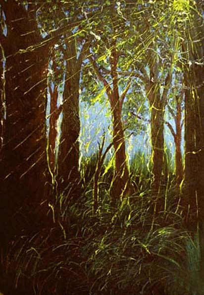 The sunny light in the forest