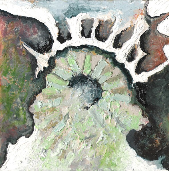 Broken Ammonite Detail # 2