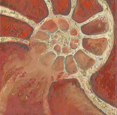 Ammonite Cross Section # 4