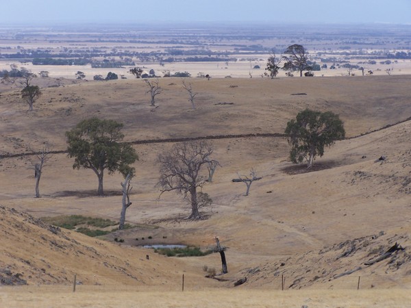 Strathalbyn landscape [SA]