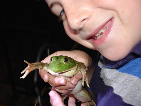 Bullfrog Hunt - 1
