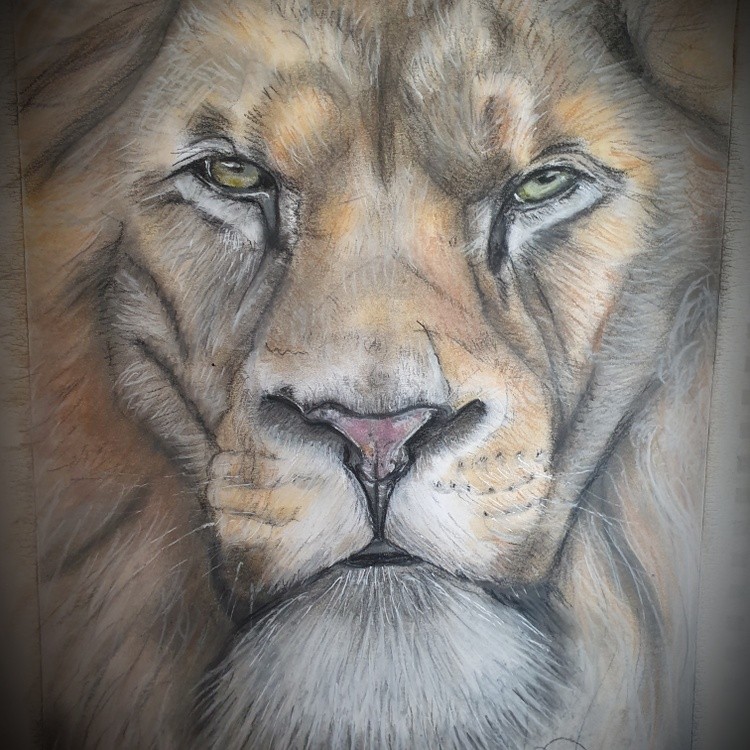 Lion king