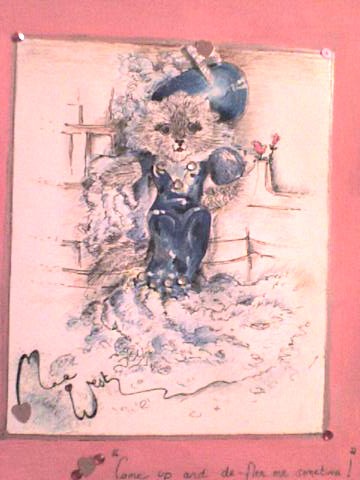 maewest kitty