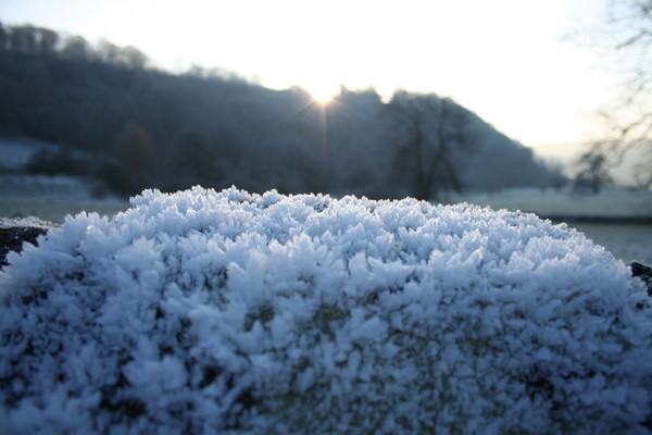 Frost