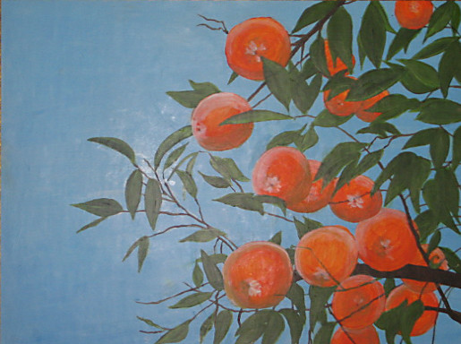 Oranges