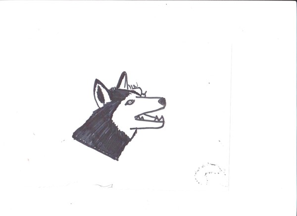 husky
