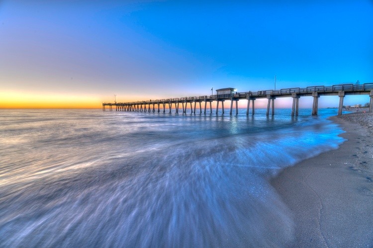 Venice Pier
