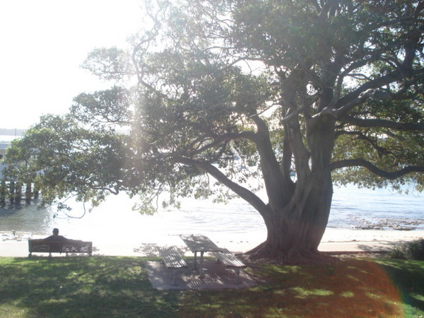 Watsons Bay