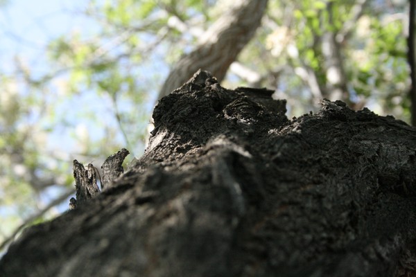 Its a long climb