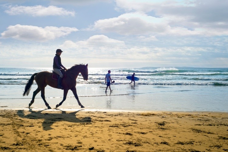 Beach Sport