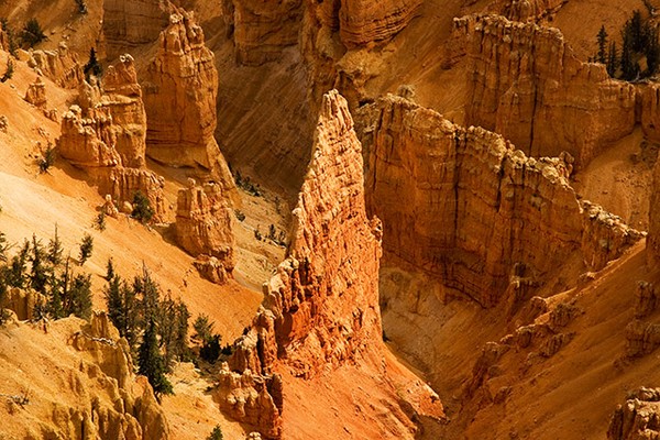Spires of Cedar Breaks