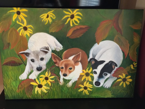 Doggies 