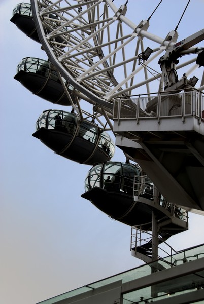 The Eye