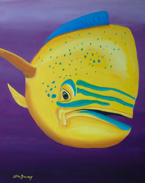 Mahi-mahi_Portrait