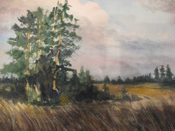 Trees in the wind