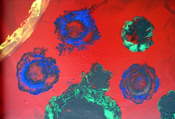 Neurons