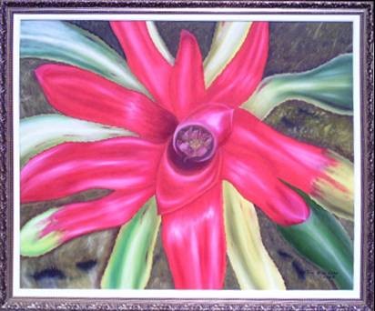 Bromelia - Detalhe
