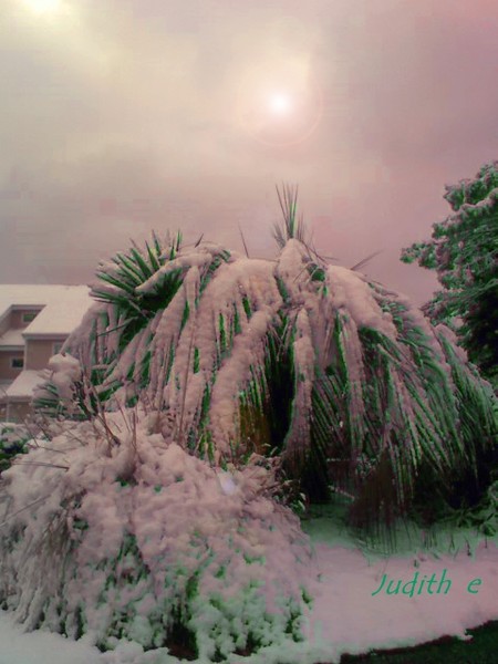 Snow, Snow, Snow