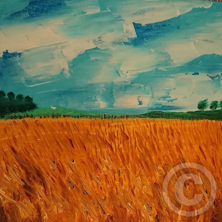 Fields on a summer's day