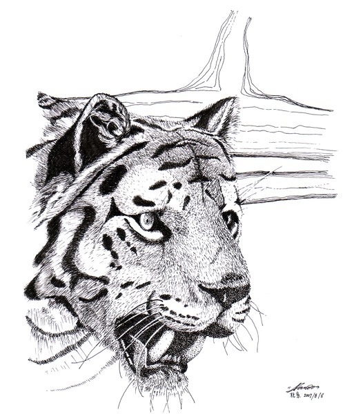Another Big Kitty