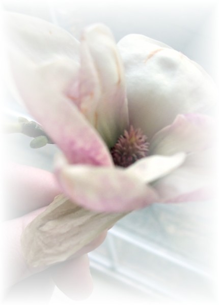 A Light Impression. Photo.