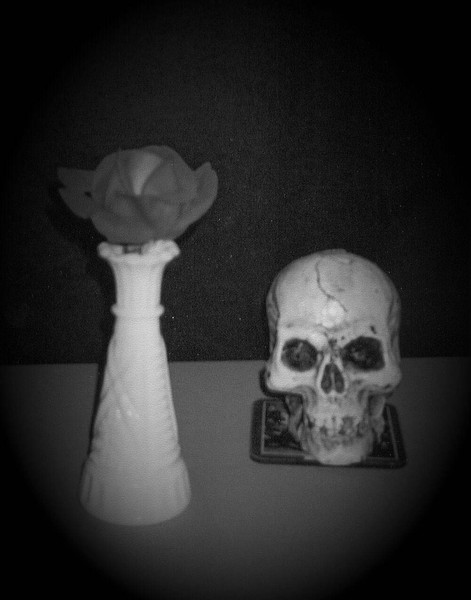 Still, life 