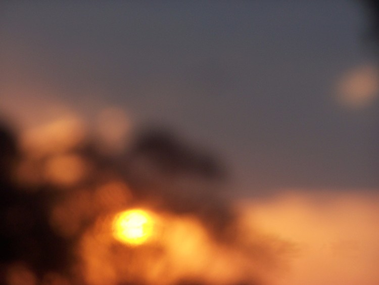 Distance- Bondi Beach Series